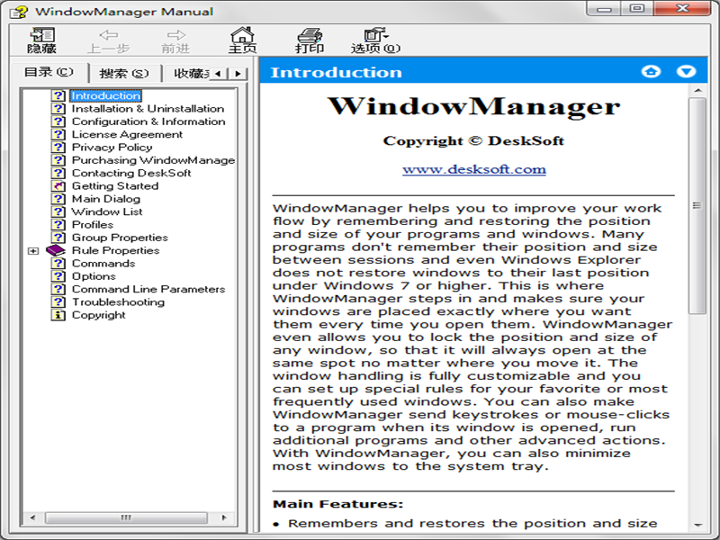 windowmanager demo