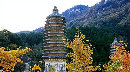 旅游景点 北京 > 银山塔林风景区   银山塔林风景区 美图 攻略