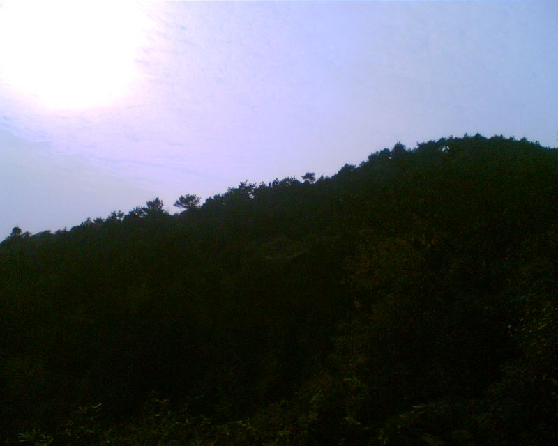简介:白兆山又名碧山,位于安陆市西北部15公里,曾是唐代著名大诗人李白酒隐安陆、蹉跎十年之地。现风景区内游览景点甚多,多与李白有关,主要有:桃花崖、白兆寺、太白堂、洗脚池、长庚书院等遗址遗迹。安陆白兆山风景区为国家级森林公园。