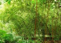 薄竹山天气,云南薄竹山天气预报查询一周,7天