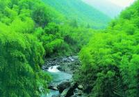 安吉竹博园天气,浙江安吉竹博园天气预报查询