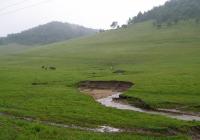 关山牧场天气,陕西关山牧场天气预报查询一周