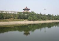聊城大学天气,山东聊城大学天气预报查询一周