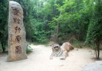 阳谷景阳冈旅游区天气,山东阳谷景阳冈旅游区