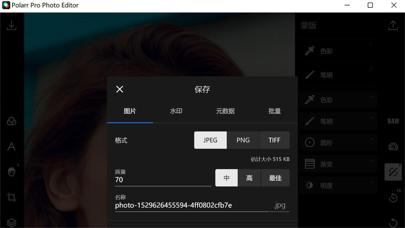 泼辣修图（Ploarr Pro Photo Editor）简体中文版