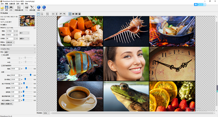 BenVista PhotoZoom Pro 8.1
