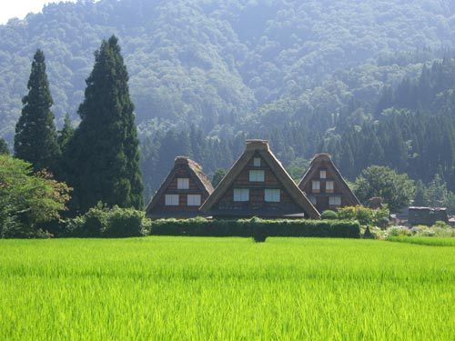 日本赏樱