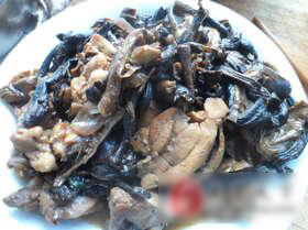 鸡腿臻磨